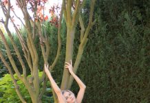 Demure Stockings Tease