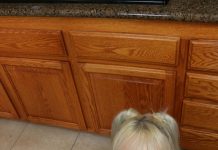 Ava Is Hot For Her New Stepdaddy