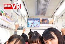 S*********s With Big Tits On A Crowded Train