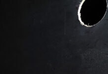 Ariana s Holly Glory