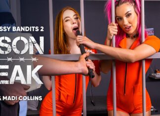 The Wet Pussy Bandits 2: Prison Break