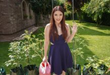 Picking Cherries in Pécs