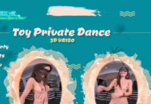 Toy Private Dance