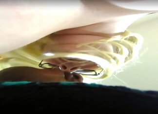 Giantess Cuckold Sex