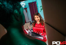 A RoboCock Christmas