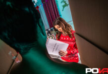 A RoboCock Christmas