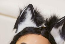 League of Legends: Ahri (A XXX Parody)