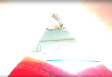 Unaware Giantess Tiny Passenger Caught