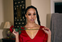 Vampire The Masquerade: Swansong A XXX Parody