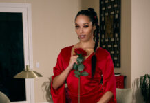 Vampire The Masquerade: Swansong A XXX Parody