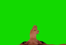 Passthrough Doggy/Missionary Compilation