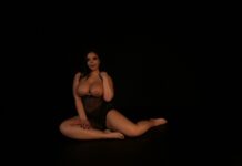 Noir – Sofia Lee II