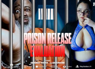 Criminal Release Evaluation