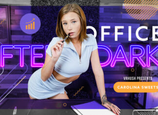 Carolina Sweets: Office After Dark