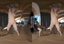 Ingrida Giving Private Strip Show Pole Dance Show For Anonymous Masked Big Boobed Girl Diana