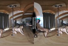 Big Boobed Model Diana Giving Private Strip Show Pole Dance For Anonymous Masked Ingrida