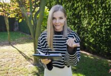 Wild Zebra from Oděsa