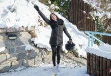 The Snow Cougar of Livigno