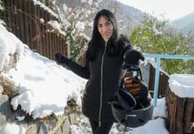 The Snow Cougar of Livigno