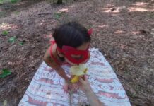 Lucky Hunt Foxy edition