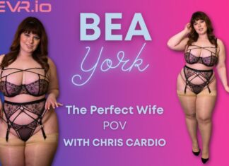 The Perfect Wife POV