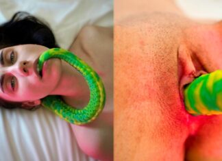 Katrina Dragonfly Close Encounter