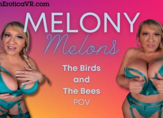 The Birds And The Bees