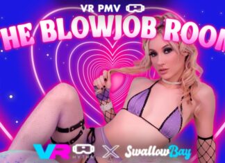 The Blowjob Room [VR PMV]