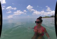 I picked up the Lifeguard in Jamaica