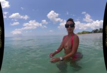 I picked up the Lifeguard in Jamaica