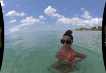 I picked up the Lifeguard in Jamaica