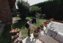 Last Chance in the Garden