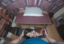 Mini Mitzi and Daruma Rai: Post Graduate Fellows