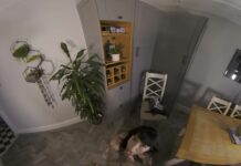 Kiki Helix – Affair