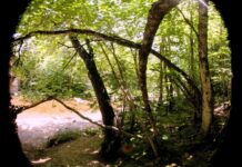 Marley Clifton – Earth School: Episode 3 The Ground Beneath Her