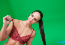 A Perfect View of See-Through Lingerie