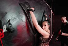 Lara Sins – The Lord’s Whip