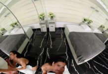 Creamed Reflections – Rita Hoff