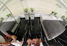 Creamed Reflections – Rita Hoff