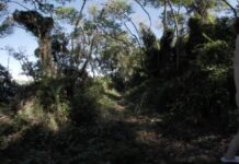 Kristina With Her Friend Mira Hiking Nude on an Abandoned Italian Island While on Vacation