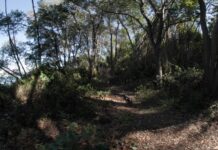 Kristina With Her Friend Mira Hiking Nude on an Abandoned Italian Island While on Vacation