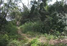 On Vacation Kayaking and Hiking Nude Outdoors on Deserted Island Adventure