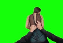 Fuck the Perfect Body in the World [Passthrough]