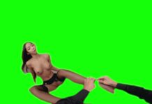 Fuck the Perfect Body in the World [Passthrough]