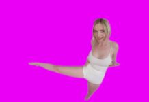 White Swan [Passthrough]