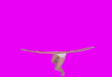 White Swan [Passthrough]