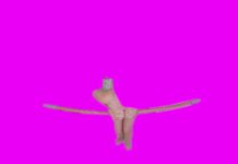 White Swan [Passthrough]